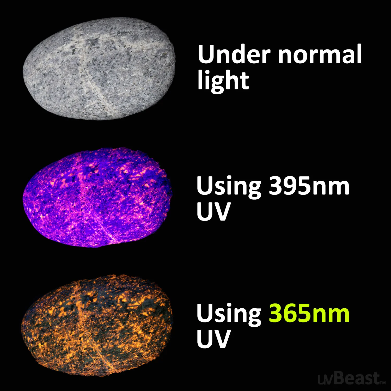uvBeast Black Light UV Flashlight V3 365nm MINI - FILTERED Ultraviolet - USB-C Charge Port - Professional Grade - Image 9
