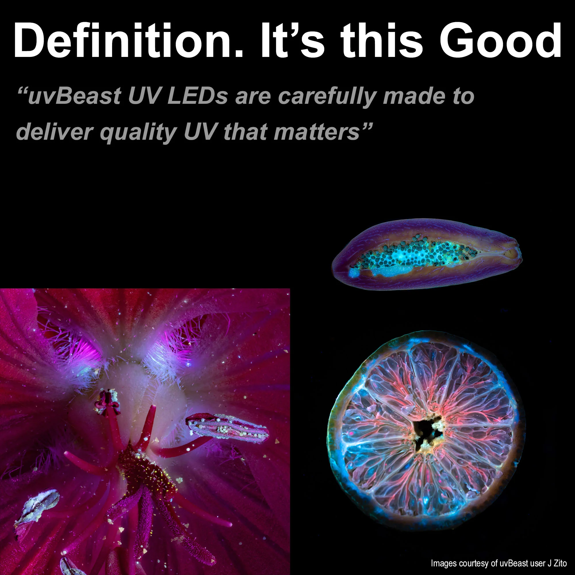 uvBeast NEW V3 365nm PRO Black Light UV Flashlight – HIGH DEFINITION Ultraviolet - HIGH POWER and LONG RANGE Professional Grade Beam Best for Professional/Commercial Use – USA Stock - Image 5